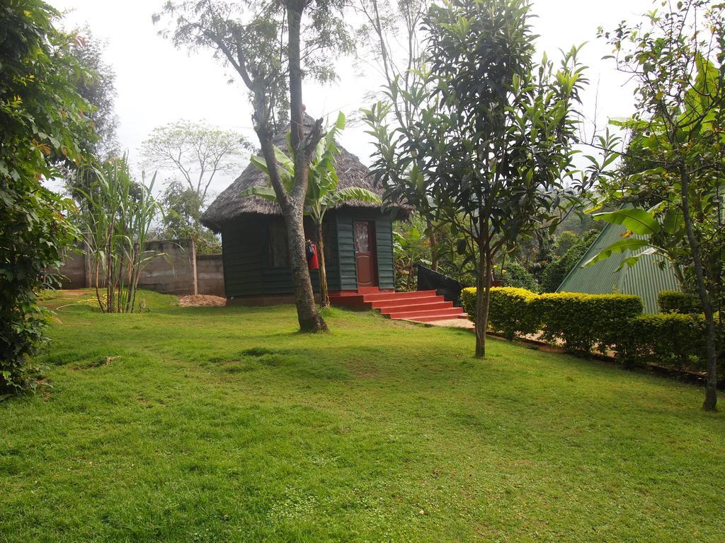 Songota Falls Lodge Arusha Habitación foto